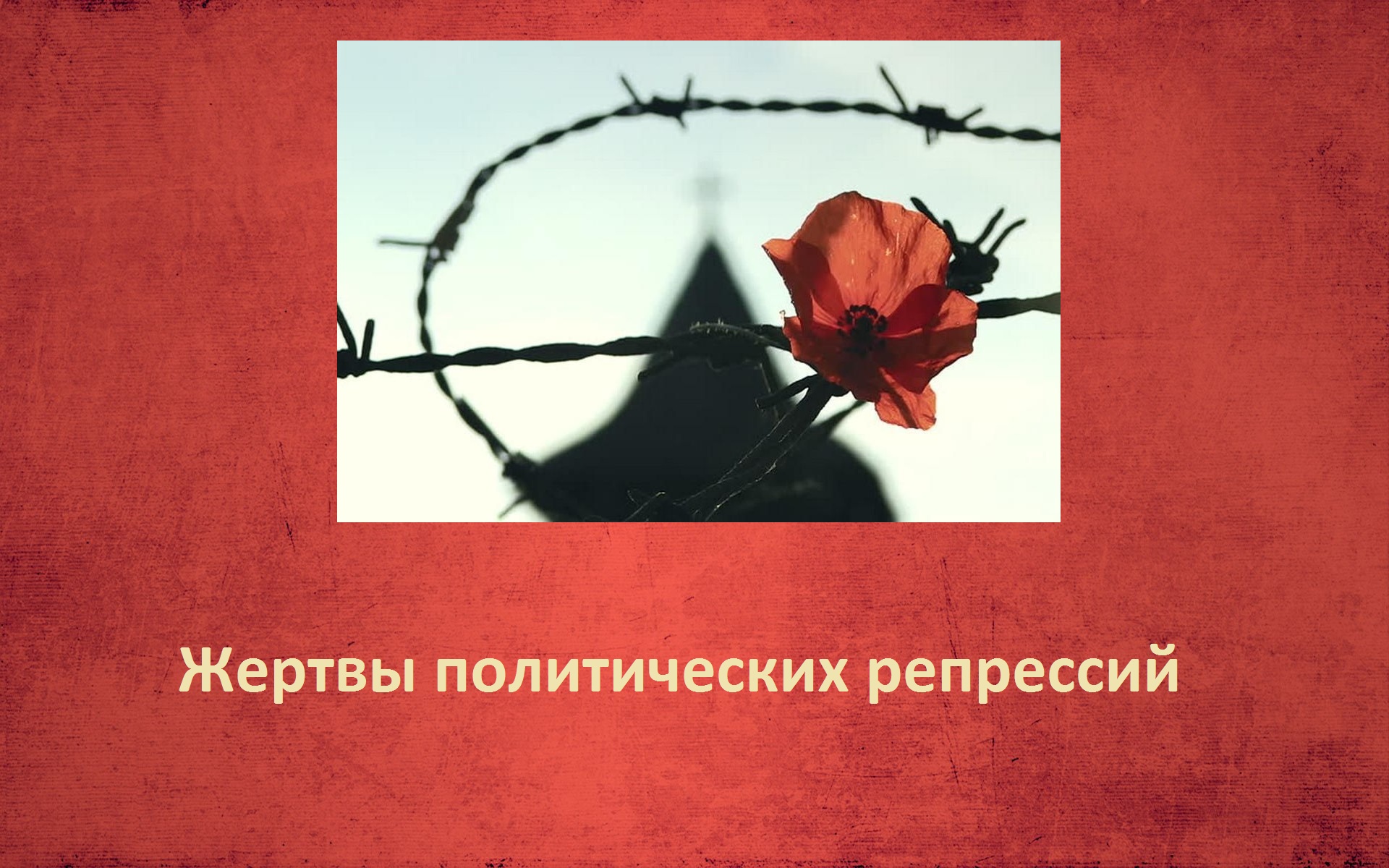 Жертвы политических репрессий